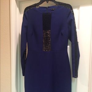 BCBG royal blue dress with black lace accents